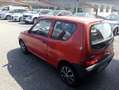 Fiat Seicento 1.1i cat Clima Rosso - thumbnail 3