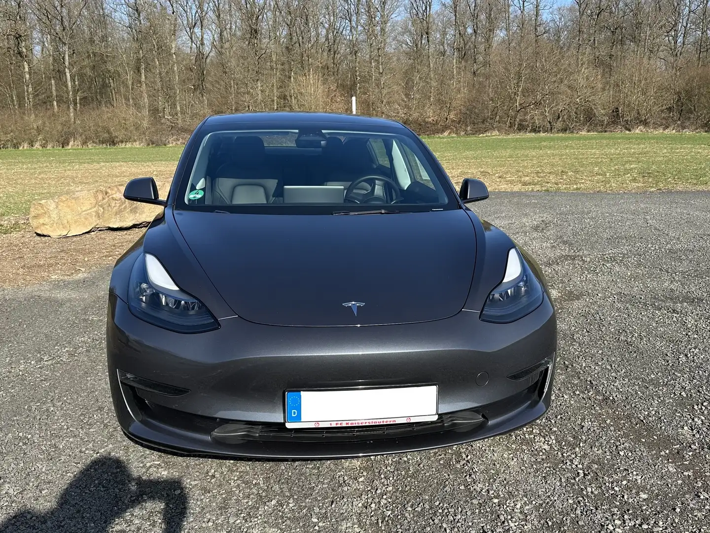 Tesla Model 3 Performance Grau - 2