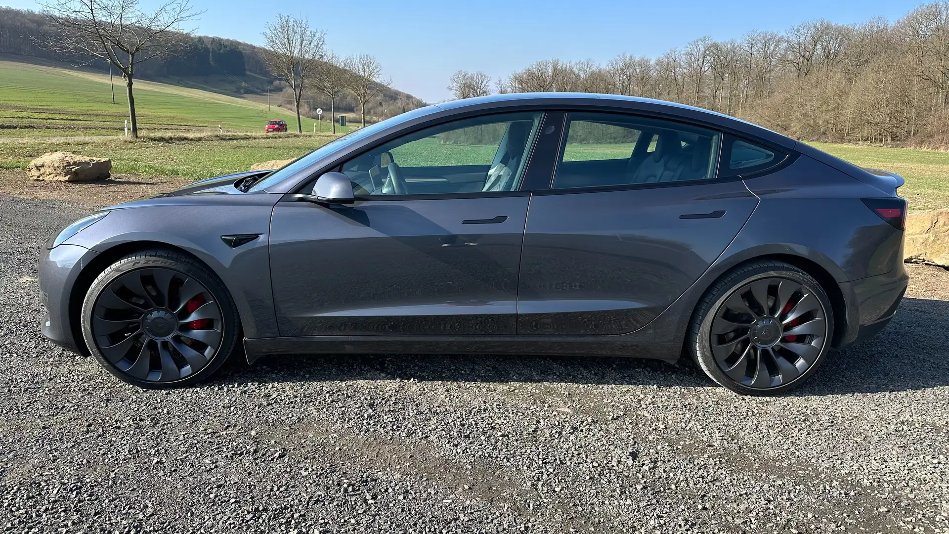 Tesla Model 3 Performance Grau - 1