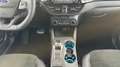 Ford Kuga Aut. Plug-In Hybrid ST-Line X+ACC+Navi+AHK+ - thumbnail 7
