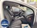 Ford Focus Turnier SYNC Edit *NEU ZAHNRIEMEN+SERVICE* Weiß - thumbnail 15