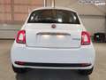 Fiat 500 Top Star 1.0 GSE Hybrid 70 PS Navi-DAB-AndroidA... Weiß - thumbnail 5