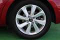 Kia Rio 1.2 CVVT 84CV Drive Rojo - thumbnail 10