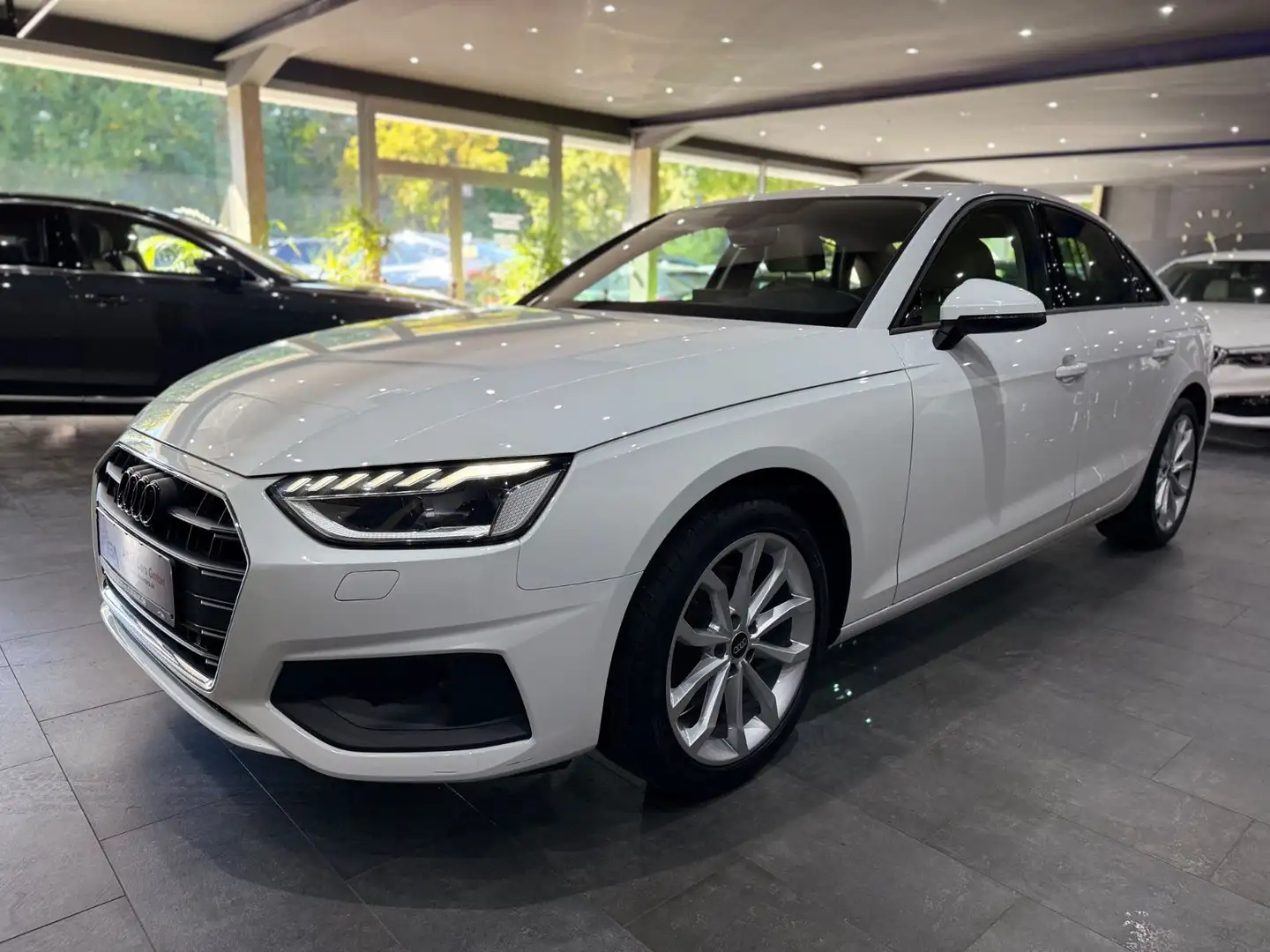 Audi A4 Lim. 30 TDI /LEDER /B&O / MATRIX / Standheizu Weiß - 1