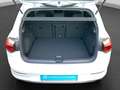 Volkswagen Golf 2.0 TSI DSG STYLE LM17 NAVI KAMERA SITZHZ Weiß - thumbnail 16