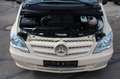 Mercedes-Benz Vito Kombi 113 CDI extralang Taxi Beżowy - thumbnail 15