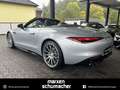 Mercedes-Benz SL 43 AMG AMG SL 43 Massage+Night+DIGITAL+Burm+PremiumPlus Silber - thumbnail 10