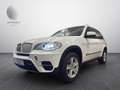 BMW X5 xD 30d/7-SITZER/HUD/PANO/360°/AHK/3,5t Weiß - thumbnail 1