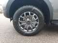 Ford Ranger DOKA Wildtrak 2.0l EcoBlue Laderaumrollo Grigio - thumbnail 6