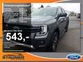 Ford Ranger DOKA Wildtrak 2.0l EcoBlue Laderaumrollo Grigio - thumbnail 1