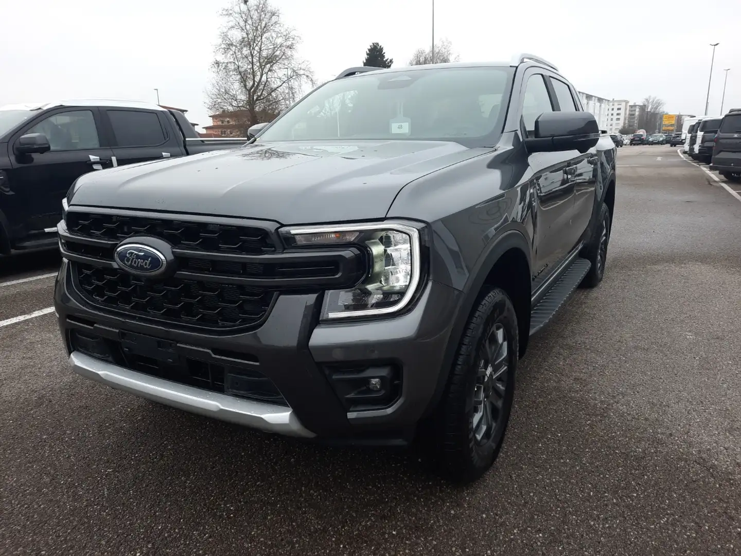 Ford Ranger DOKA Wildtrak 2.0l EcoBlue Laderaumrollo Grigio - 2