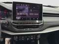 Jeep Compass 1.6 mjt 130 cv Limited 2021 Grün - thumbnail 12