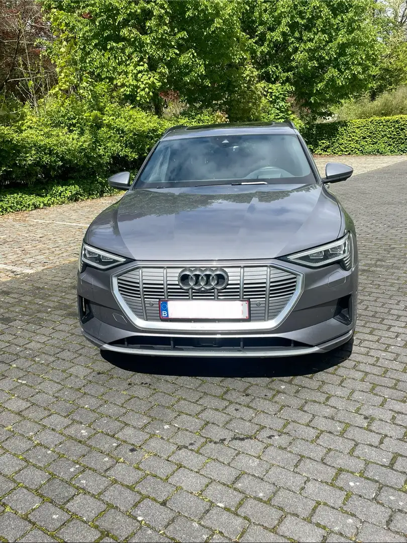 Audi e-tron 5.5 Quattro 95kw Advanced Grau - 1