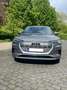 Audi e-tron 5.5 95kw Grau - thumbnail 2