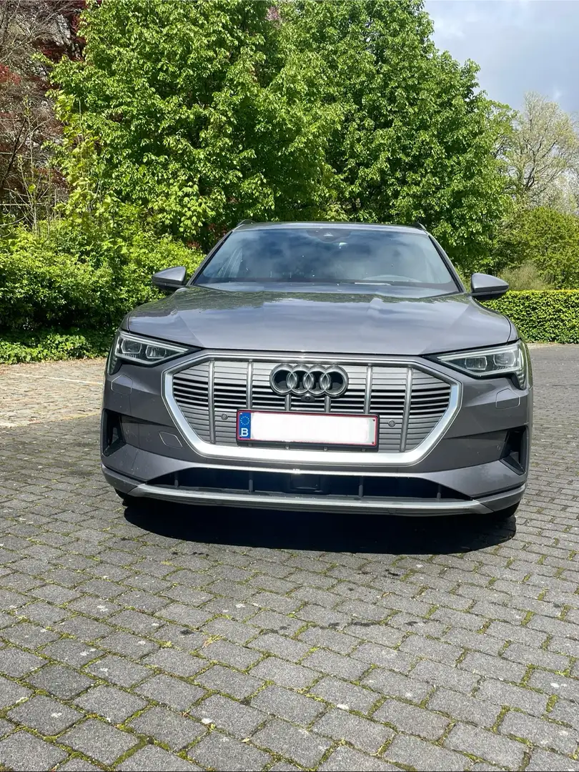 Audi e-tron 5.5 Quattro 95kw Advanced Сірий - 2