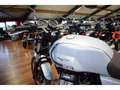 Moto Guzzi V 7 STONE IV 850 ABS SPECIAL Gris - thumbnail 5
