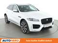 Jaguar F-Pace 30d R-Sport AWD Aut.*NAV*XENON*TEMPO*PDC*SHZ Weiß - thumbnail 8