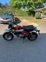 Honda Rojo - thumbnail 3