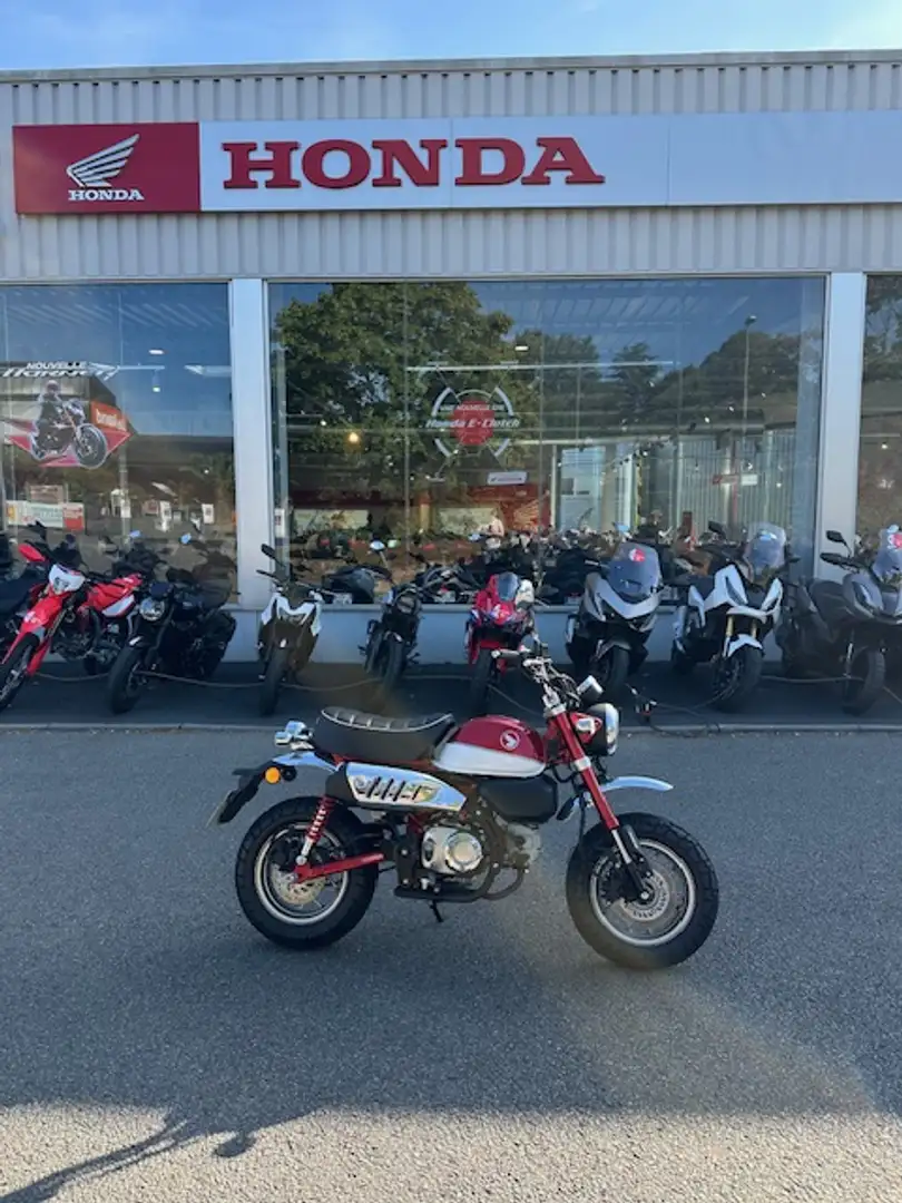 Honda Rojo - 1