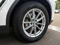 BMW X3 0d Sports.LiveProf.Kamera Driv/Park-Ass DAB Weiß - thumbnail 9