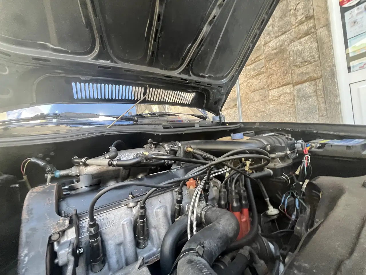 Volkswagen Golf Cabriolet Cabrio (GLI), foto 10