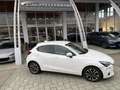 Mazda 2 2 III 2015 1.5 Exceed 90cv auto my17 Blanco - thumbnail 1