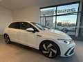 Volkswagen Golf GTI 2.0 tsi 245cv dsg Bianco - thumbnail 5