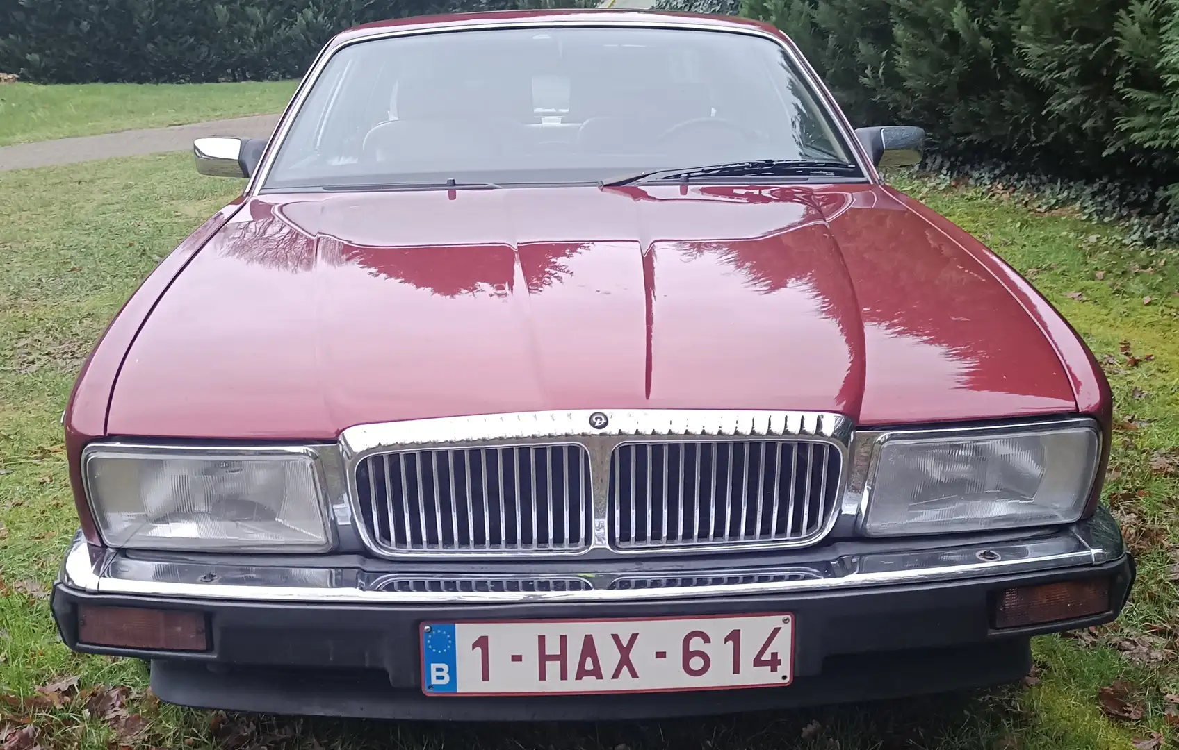 Jaguar XJ40 Daimler LPG 1990 Red - 1