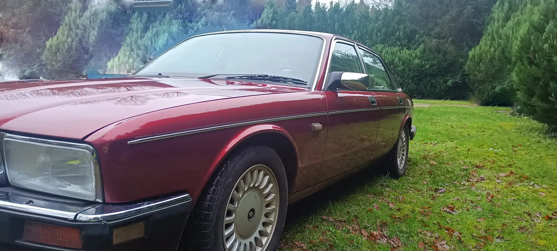 Jaguar XJ40 Daimler LPG 1990 Red - 2