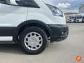 Ford Transit FORD / FURGONETA (2023) Blanco - thumbnail 13