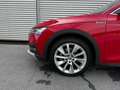 Skoda Octavia 4x4 SCOUT TDI DSG Rot - thumbnail 4