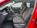 Skoda Octavia 4x4 SCOUT TDI DSG Rot - thumbnail 6