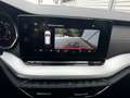 Skoda Octavia 4x4 SCOUT TDI DSG Rot - thumbnail 9
