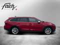 Skoda Octavia 4x4 SCOUT TDI DSG Rot - thumbnail 2