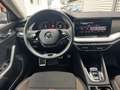 Skoda Octavia 4x4 SCOUT TDI DSG Rot - thumbnail 5