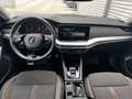 Skoda Octavia 4x4 SCOUT TDI DSG Rot - thumbnail 7