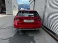 Skoda Octavia 4x4 SCOUT TDI DSG Rot - thumbnail 10
