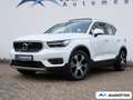Volvo XC40 B4 Inscription BLIS/360/Pano/Standhzg/AHK Белый - thumbnail 1