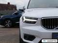 Volvo XC40 B4 Inscription BLIS/360/Pano/Standhzg/AHK Белый - thumbnail 7