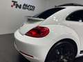 Volkswagen Beetle Pequeño Automático de 3 Puertas Blanco - thumbnail 10
