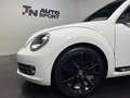 Volkswagen Beetle Pequeño Automático de 3 Puertas Blanco - thumbnail 6