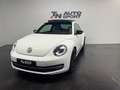 Volkswagen Beetle Pequeño Automático de 3 Puertas Blanco - thumbnail 1
