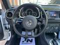 Volkswagen Beetle Pequeño Automático de 3 Puertas Blanco - thumbnail 11