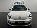 Volkswagen Beetle Pequeño Automático de 3 Puertas Blanco - thumbnail 2
