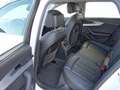 Audi A4 allroad quattro 3.0TDI S-Tronic 160kW Blanco - thumbnail 34