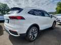 Wey Luxury Head-Up Sitzklima Infinity Weiß - thumbnail 27