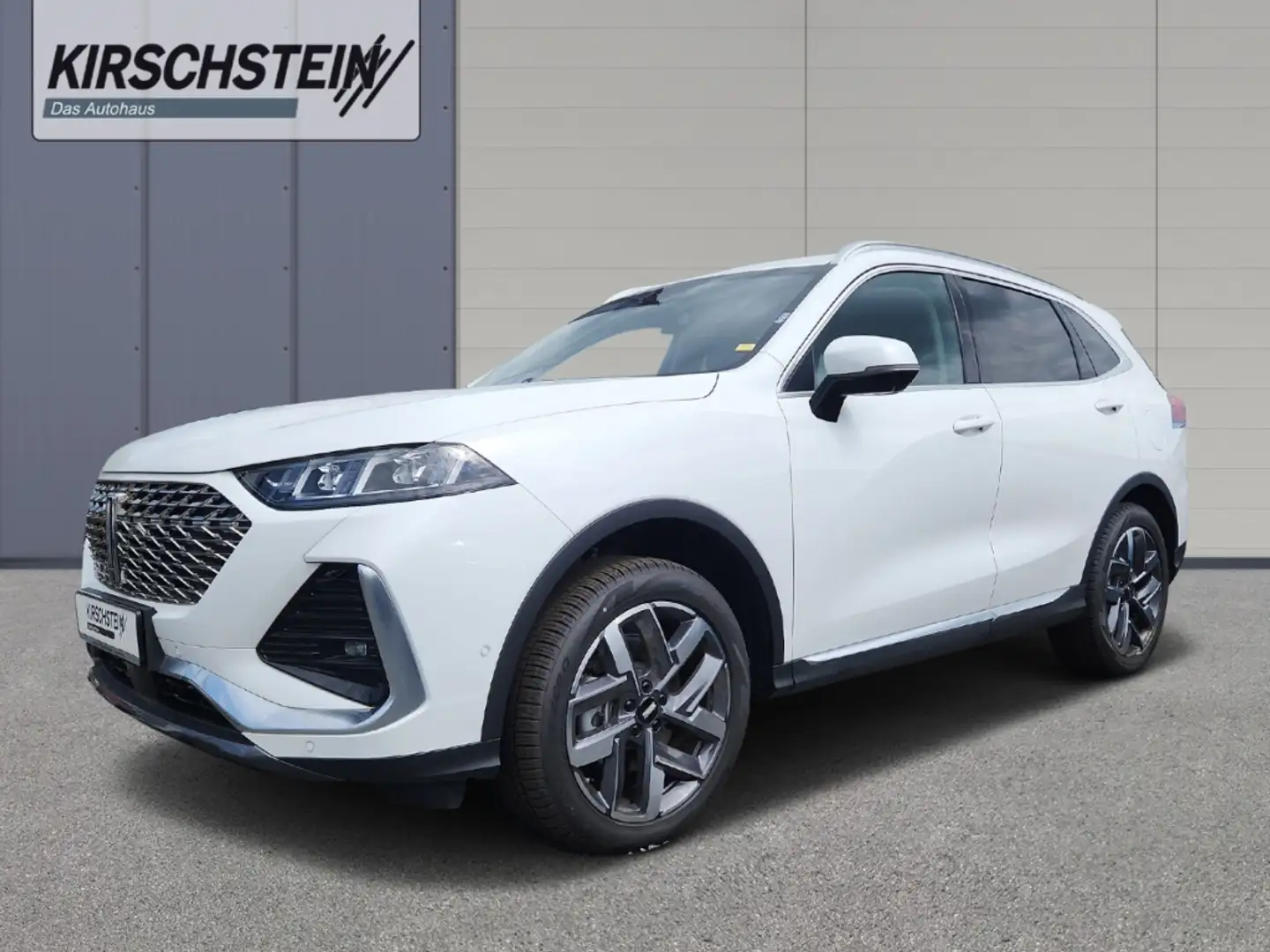Wey Luxury Head-Up Sitzklima Infinity Weiß - 2