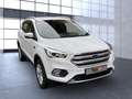 Ford Kuga Cool & Connect Bluetooth Navi Klima Weiß - thumbnail 5