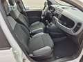 Fiat Panda 1.0 firefly hybrid City Life - PREZZO REALE Bianco - thumbnail 11