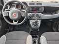 Fiat Panda 1.0 firefly hybrid City Life - PREZZO REALE Bianco - thumbnail 12